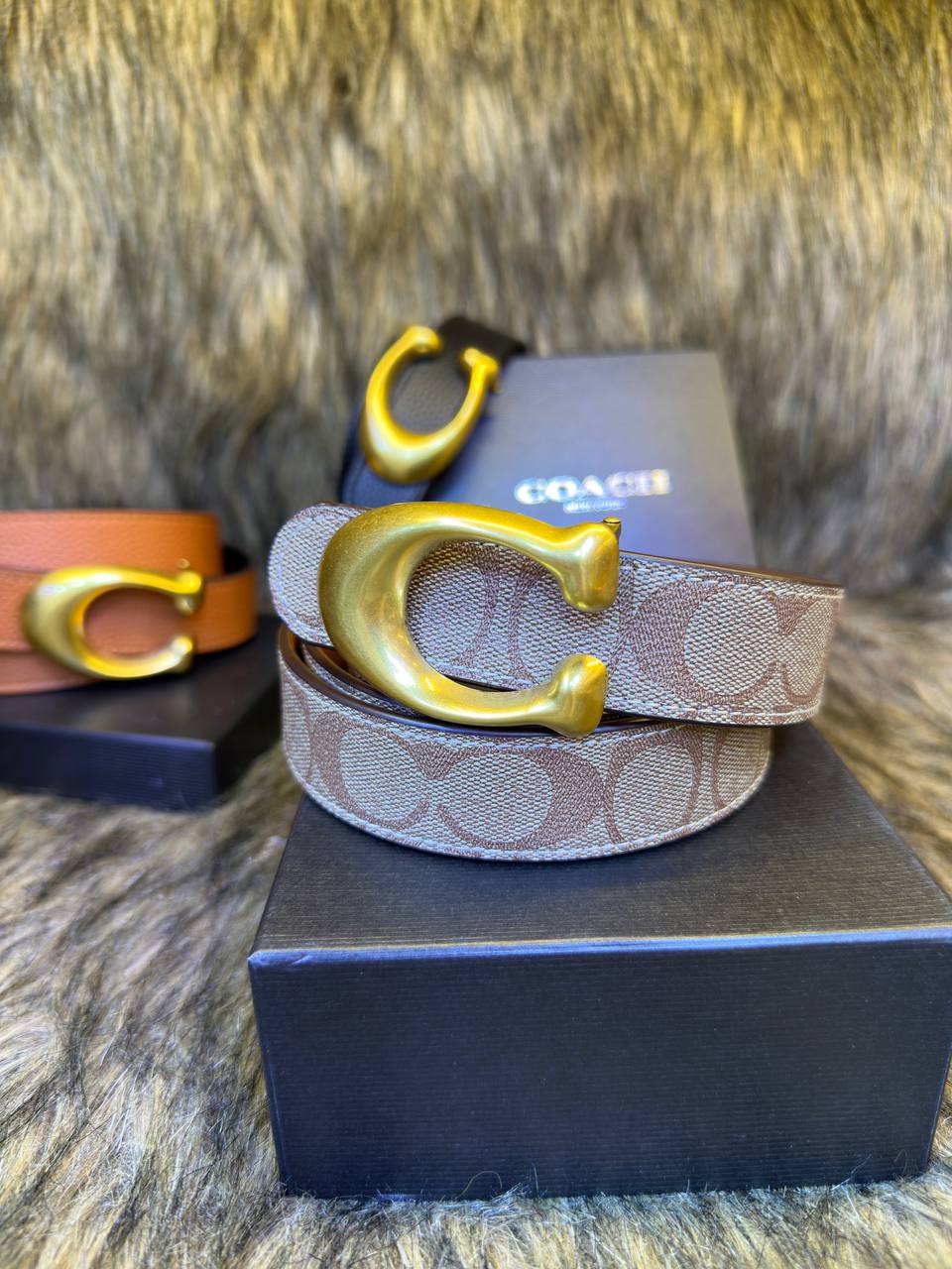 Ceinture signature - vue 3